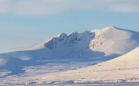 Snohetta Camping