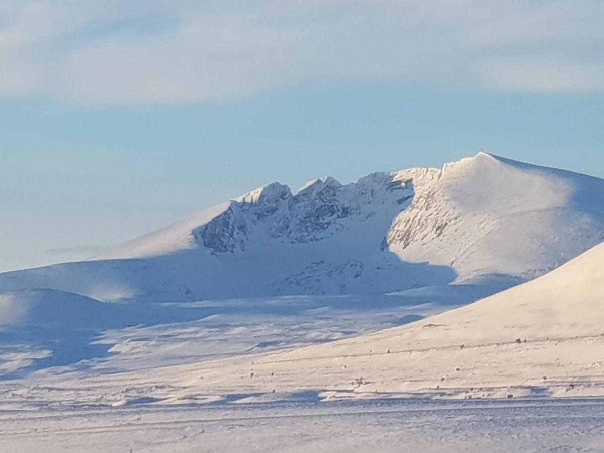 Snohetta Camping Hjerkinn Exteriér fotografie